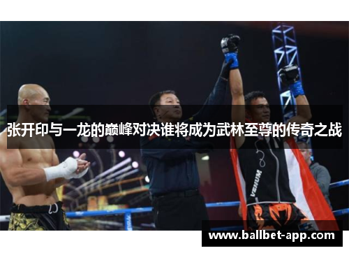 张开印与一龙的巅峰对决谁将成为武林至尊的传奇之战